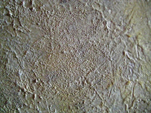 Load image into Gallery viewer, Alex 48 x48