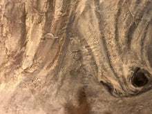 Load image into Gallery viewer, Palomino Mini 24 x 24