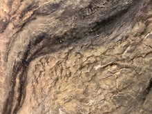 Load image into Gallery viewer, Black Arabian 20 x20