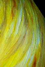 Load image into Gallery viewer, Blazing Sun 15 x 30