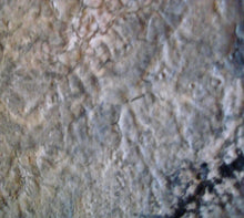 Load image into Gallery viewer, Black Arabian 20 x20