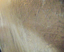 Load image into Gallery viewer, Alex 48 x48