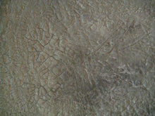 Load image into Gallery viewer, Palomino Baby 36 x 36