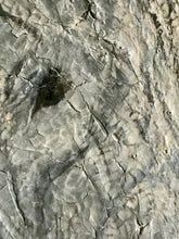 Load image into Gallery viewer, Sweet horse light 18x24