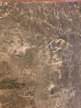 Load image into Gallery viewer, Golden Chestnut 24 x 24