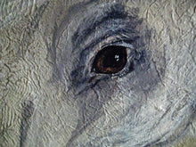 Load image into Gallery viewer, Alex 48 x48