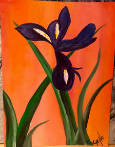 Iris 9x12