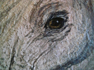 Grey Arabian 20 x 20