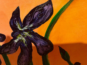 Irises 16x20