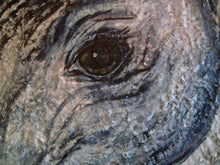 Load image into Gallery viewer, Black Arabian 20 x20

