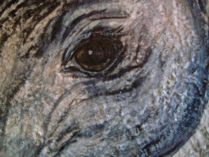 Black Arabian 20 x20