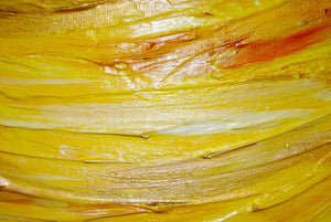 Blazing Sun 15 x 30