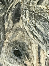 Load image into Gallery viewer, Sweet horse dark 18x24
