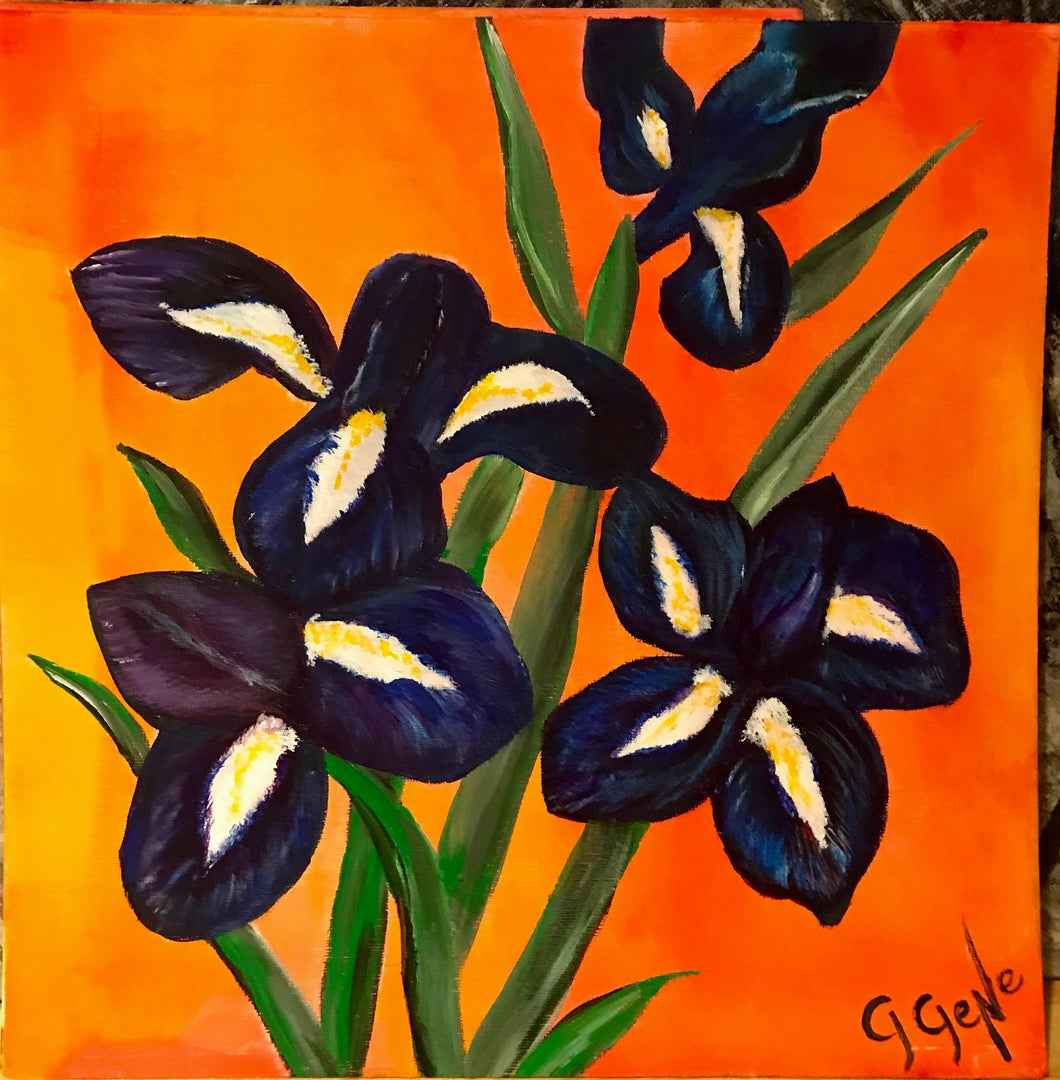 Irises 12x12