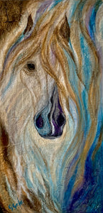 Beautiful Stallion