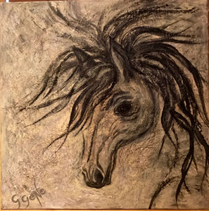 Black Arabian 20 x20