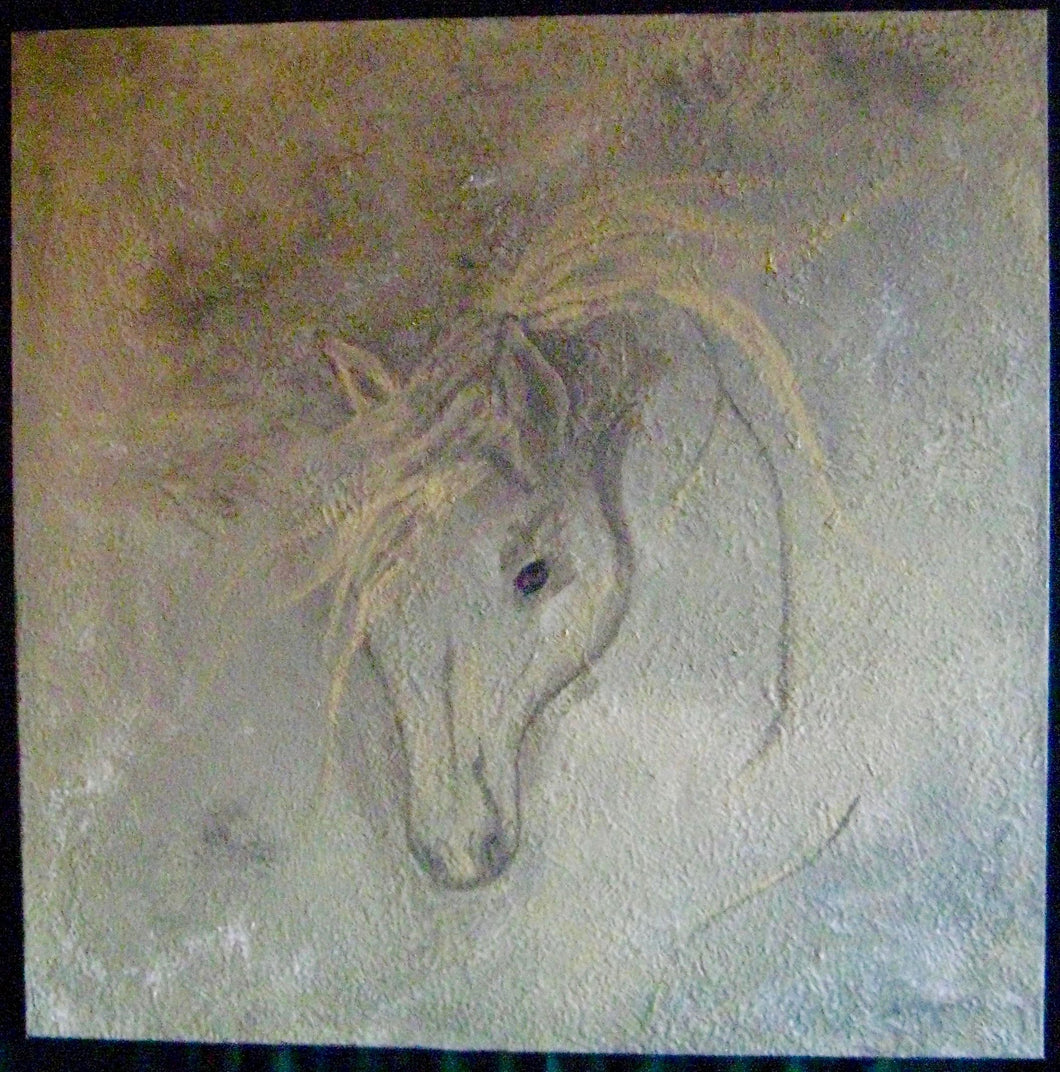 Palomino Baby 36 x 36